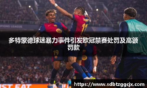 多特蒙德球迷暴力事件引发欧冠禁赛处罚及高额罚款